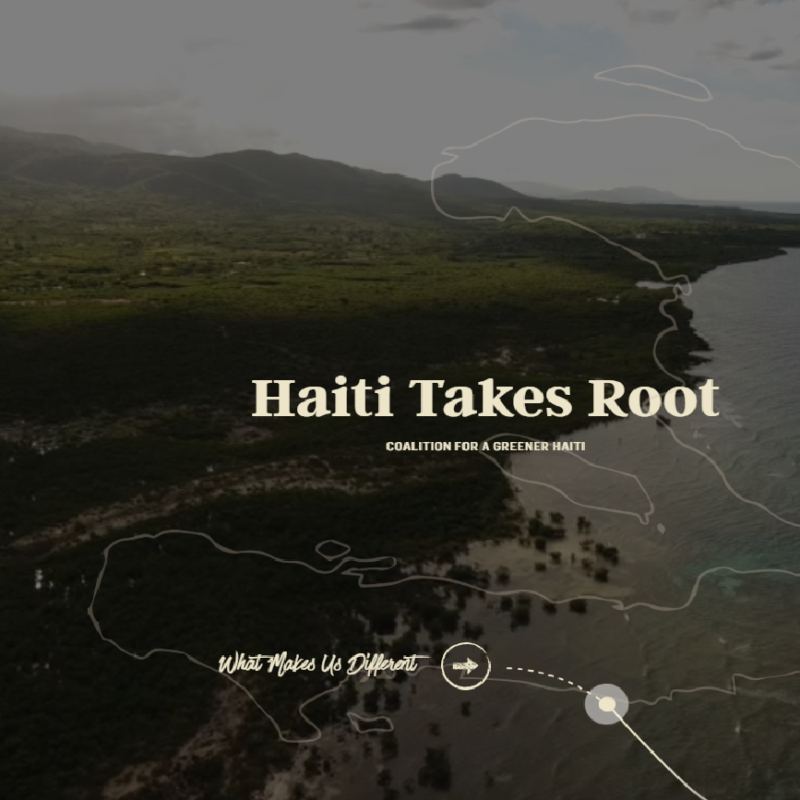 Haiti Takes Root