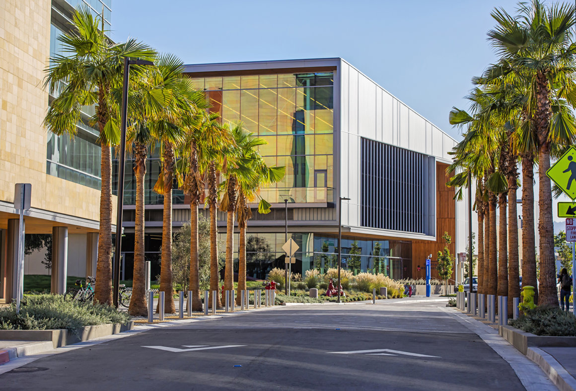 Cardinal Cafe Campaign