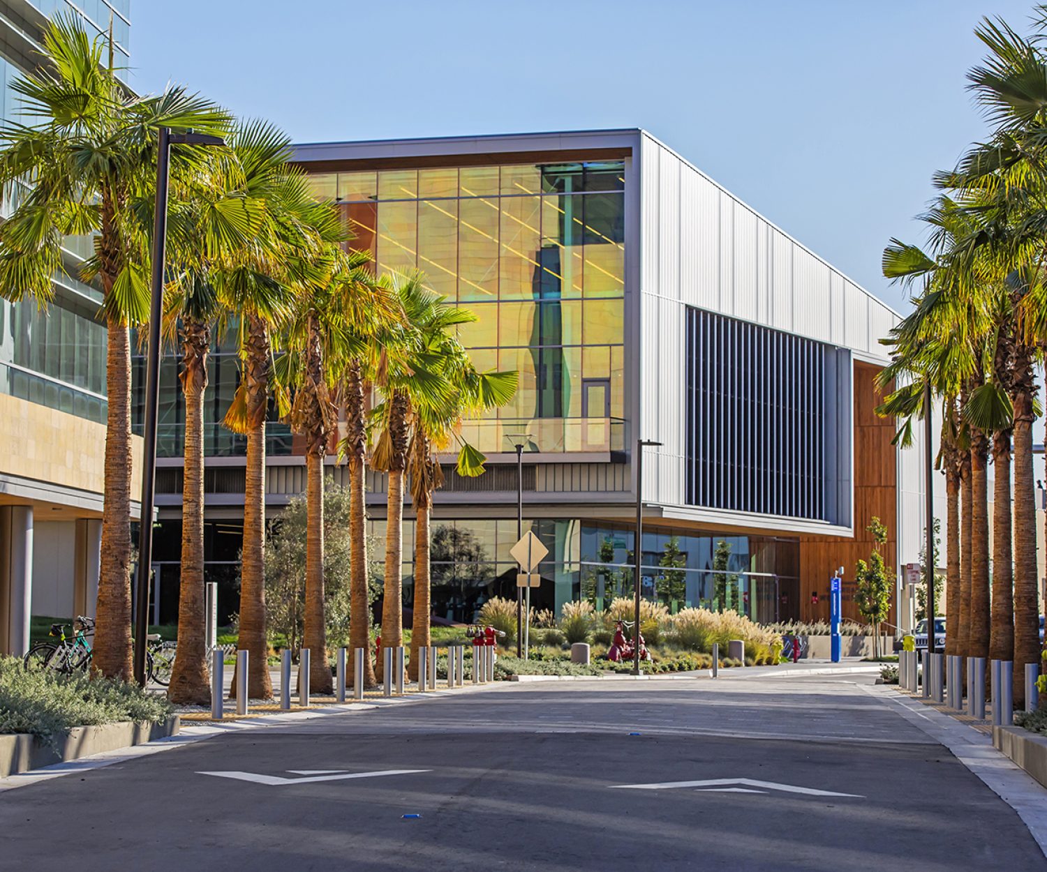 Stanford Redwood City Campus on November 1, 2019.
Photography by: Christine Baker