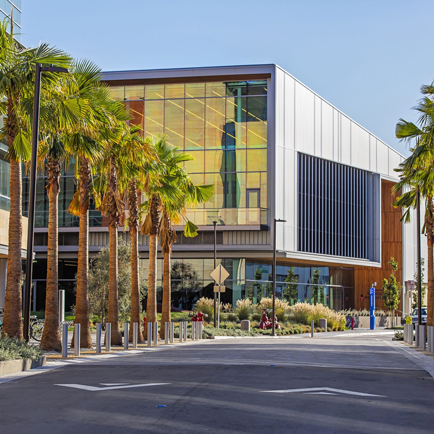 Stanford Redwood City Campus on November 1, 2019.
Photography by: Christine Baker