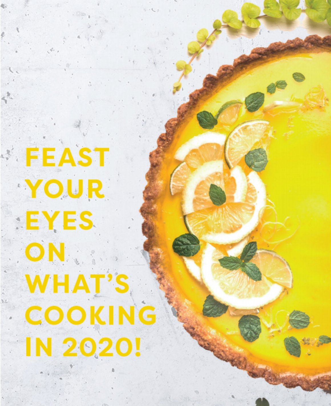 Cuisinart New Product Brochure 2020